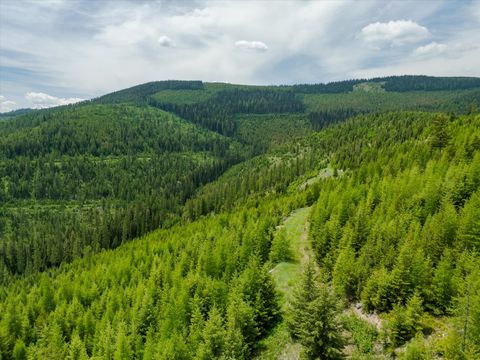Tiny photo for Nhn Fish Creek Road, Kalispell, MT 59901 (MLS # 30052239)