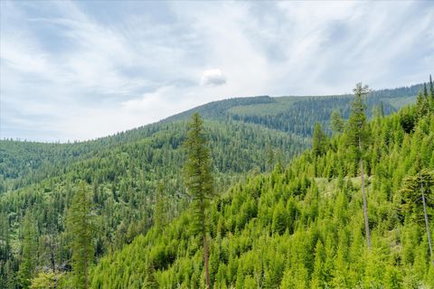 Tiny photo for Nhn Fish Creek Road, Kalispell, MT 59901 (MLS # 30052239)