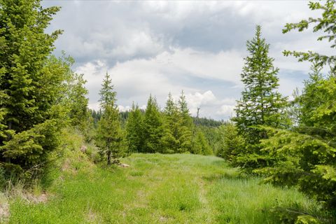 Tiny photo for Nhn Fish Creek Road, Kalispell, MT 59901 (MLS # 30052239)