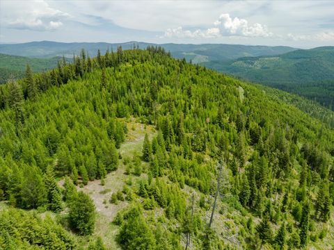 Tiny photo for Nhn Fish Creek Road, Kalispell, MT 59901 (MLS # 30052239)