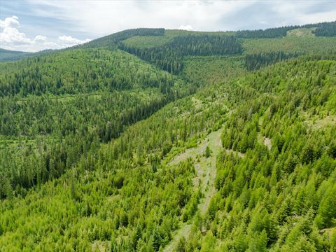 Tiny photo for Nhn Fish Creek Road, Kalispell, MT 59901 (MLS # 30052239)