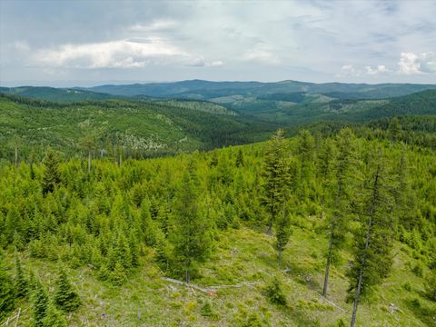 Tiny photo for Nhn Fish Creek Road, Kalispell, MT 59901 (MLS # 30052239)
