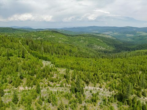 Tiny photo for Nhn Fish Creek Road, Kalispell, MT 59901 (MLS # 30052239)