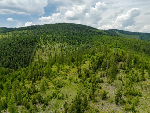 Tiny photo for Nhn Fish Creek Road, Kalispell, MT 59901 (MLS # 30052239)