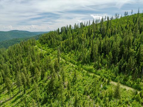 Tiny photo for Nhn Fish Creek Road, Kalispell, MT 59901 (MLS # 30052239)