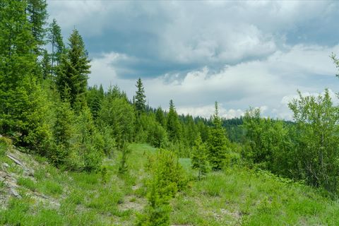 Tiny photo for Nhn Fish Creek Road, Kalispell, MT 59901 (MLS # 30052239)