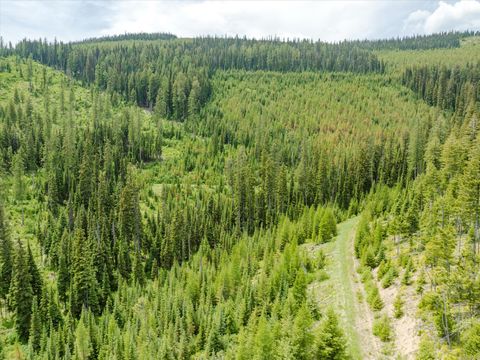 Tiny photo for Nhn Fish Creek Road, Kalispell, MT 59901 (MLS # 30052239)