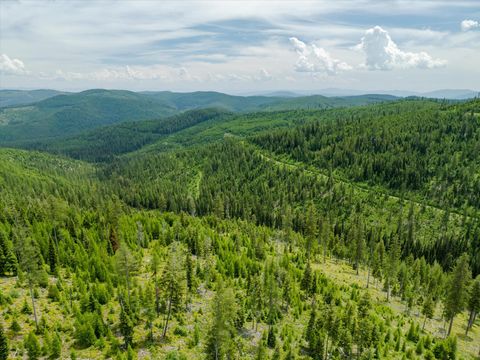 Tiny photo for Nhn Fish Creek Road, Kalispell, MT 59901 (MLS # 30052239)