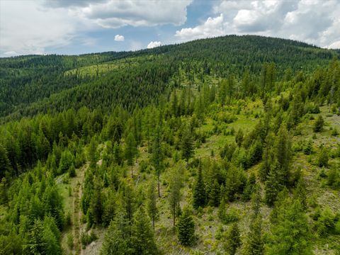 Tiny photo for Nhn Fish Creek Road, Kalispell, MT 59901 (MLS # 30052239)