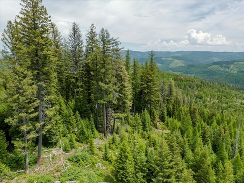 Tiny photo for Nhn Fish Creek Road, Kalispell, MT 59901 (MLS # 30052239)