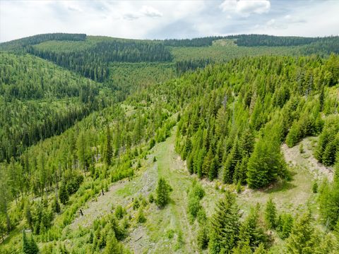 Tiny photo for Nhn Fish Creek Road, Kalispell, MT 59901 (MLS # 30052239)