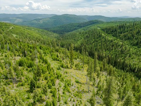 Tiny photo for Nhn Fish Creek Road, Kalispell, MT 59901 (MLS # 30052239)