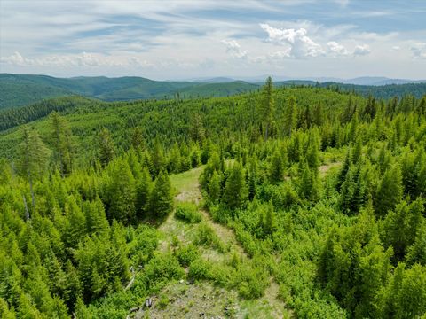 Tiny photo for Nhn Fish Creek Road, Kalispell, MT 59901 (MLS # 30052239)
