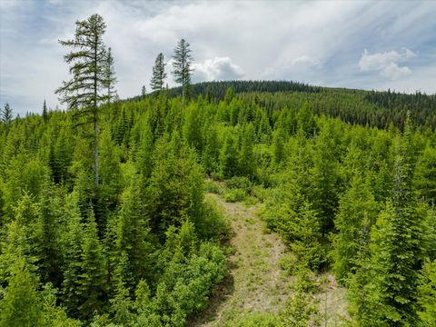 Tiny photo for Nhn Fish Creek Road, Kalispell, MT 59901 (MLS # 30052239)