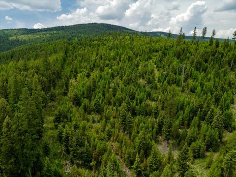 Tiny photo for Nhn Fish Creek Road, Kalispell, MT 59901 (MLS # 30052239)