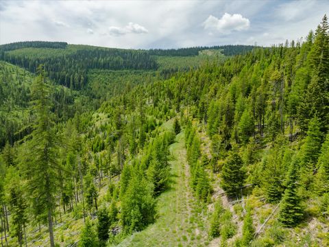 Tiny photo for Nhn Fish Creek Road, Kalispell, MT 59901 (MLS # 30052239)