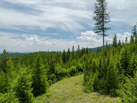 Tiny photo for Nhn Fish Creek Road, Kalispell, MT 59901 (MLS # 30052239)