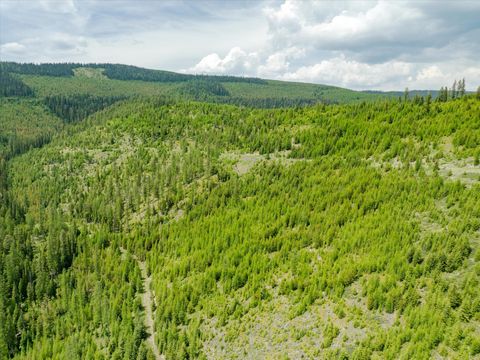 Tiny photo for Nhn Fish Creek Road, Kalispell, MT 59901 (MLS # 30052239)