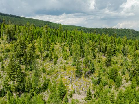 Tiny photo for Nhn Fish Creek Road, Kalispell, MT 59901 (MLS # 30052239)