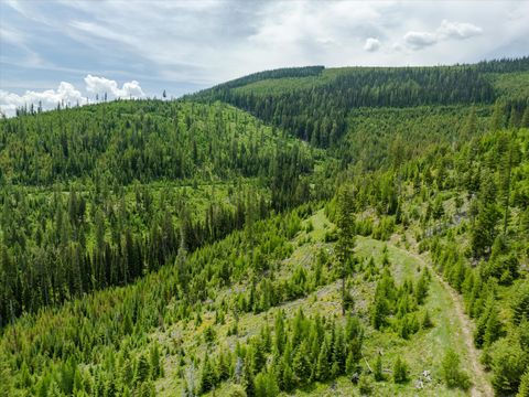 Tiny photo for Nhn Fish Creek Road, Kalispell, MT 59901 (MLS # 30052239)