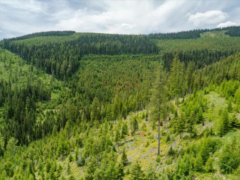 Tiny photo for Nhn Fish Creek Road, Kalispell, MT 59901 (MLS # 30052239)