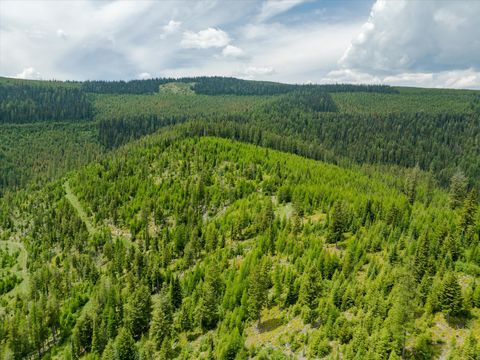 Tiny photo for Nhn Fish Creek Road, Kalispell, MT 59901 (MLS # 30052239)