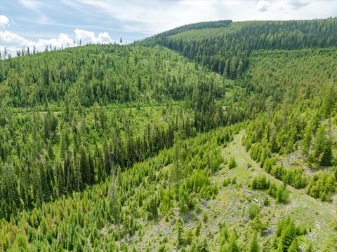Tiny photo for Nhn Fish Creek Road, Kalispell, MT 59901 (MLS # 30052239)