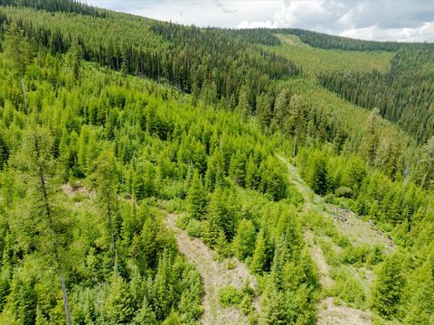 Tiny photo for Nhn Fish Creek Road, Kalispell, MT 59901 (MLS # 30052239)
