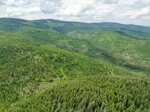 Tiny photo for Nhn Fish Creek Road, Kalispell, MT 59901 (MLS # 30052239)