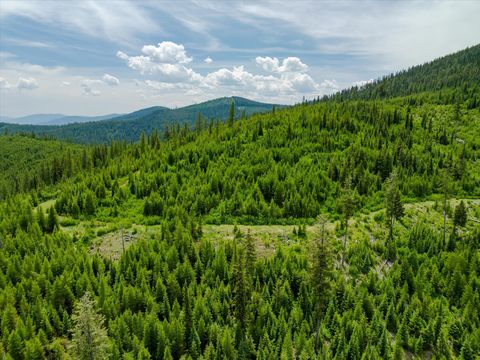 Tiny photo for Nhn Fish Creek Road, Kalispell, MT 59901 (MLS # 30052239)
