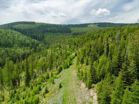Tiny photo for Nhn Fish Creek Road, Kalispell, MT 59901 (MLS # 30052239)