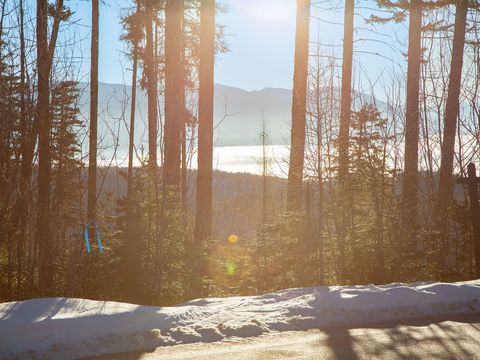 Photo of 213 Ridge Run Court, Whitefish, MT 59937 (MLS # 30051094)