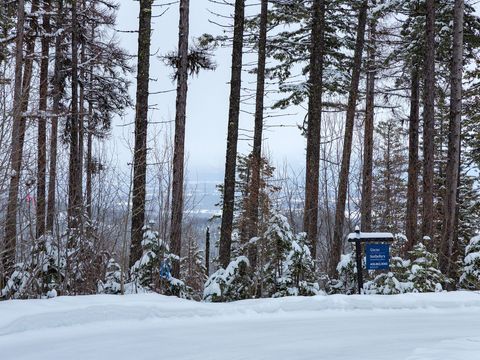 Tiny photo for 213 Ridge Run Court, Whitefish, MT 59937 (MLS # 30051094)