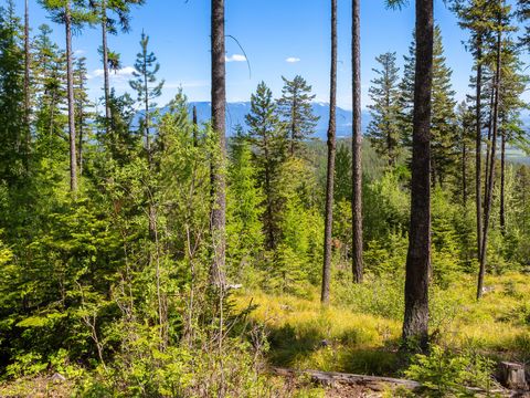 Tiny photo for 213 Ridge Run Court, Whitefish, MT 59937 (MLS # 30051094)