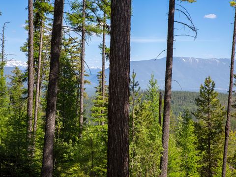 Tiny photo for 213 Ridge Run Court, Whitefish, MT 59937 (MLS # 30051094)