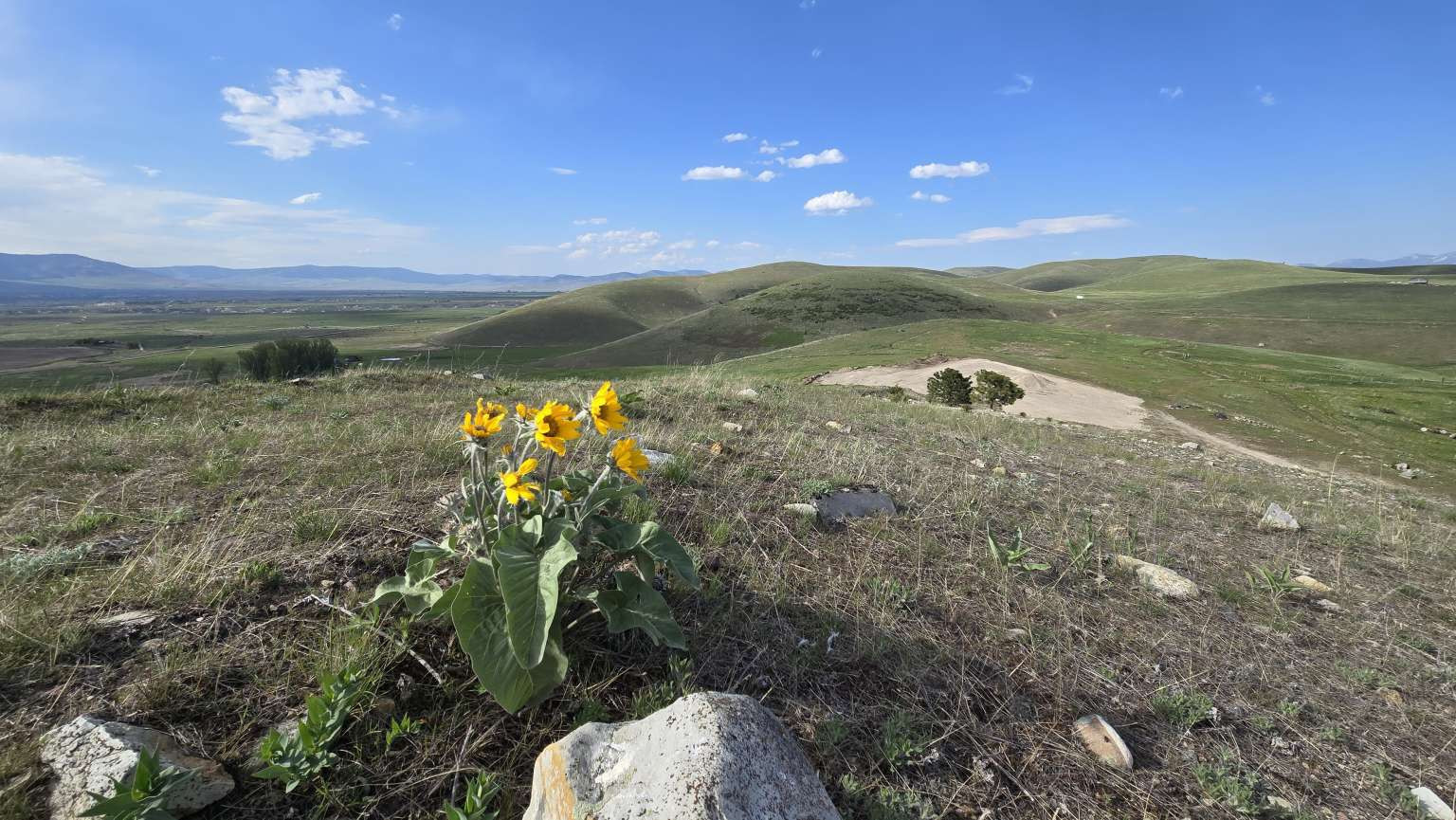 44549 Turnquist Road