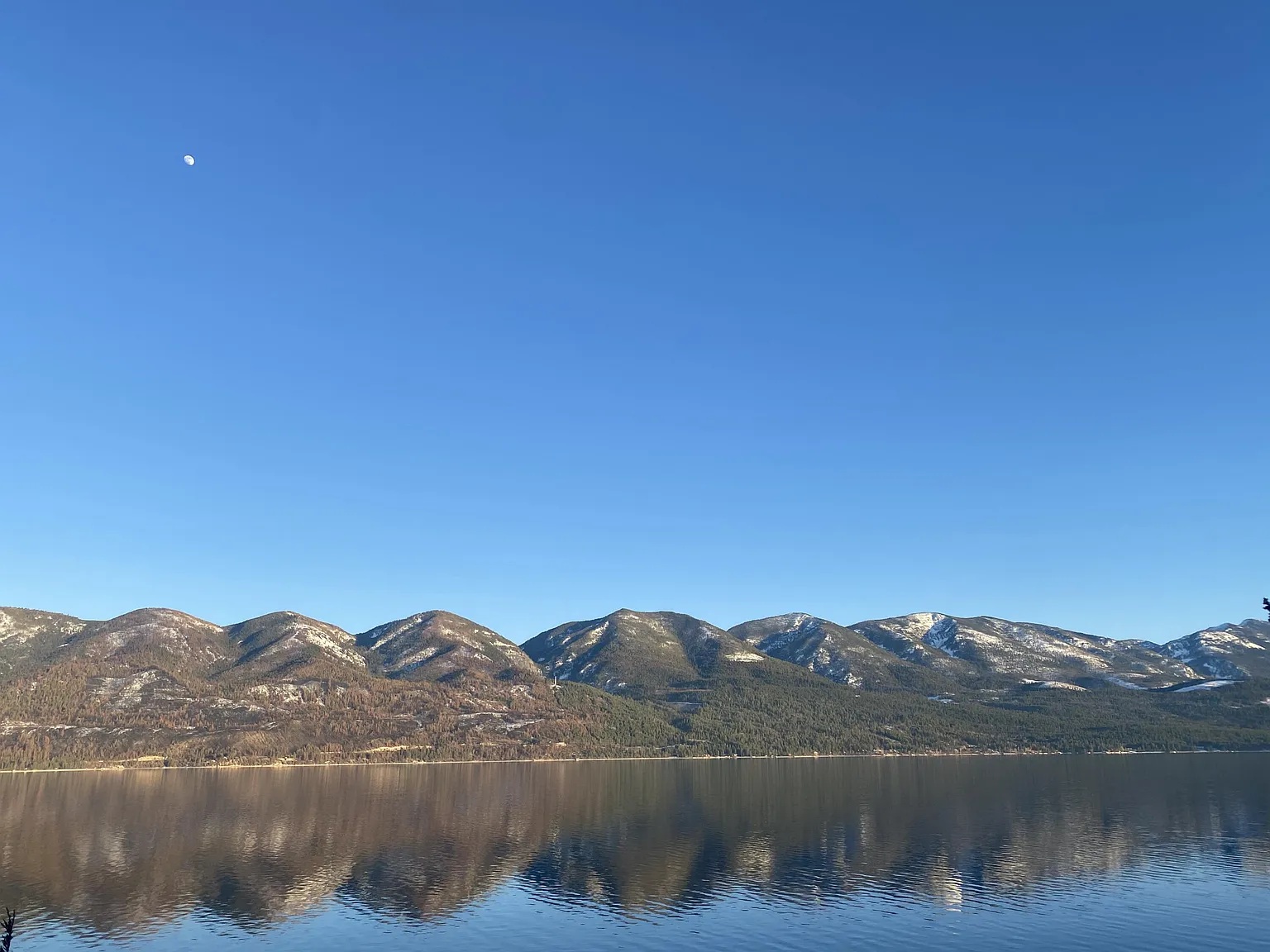 29034 Finley Point Lane