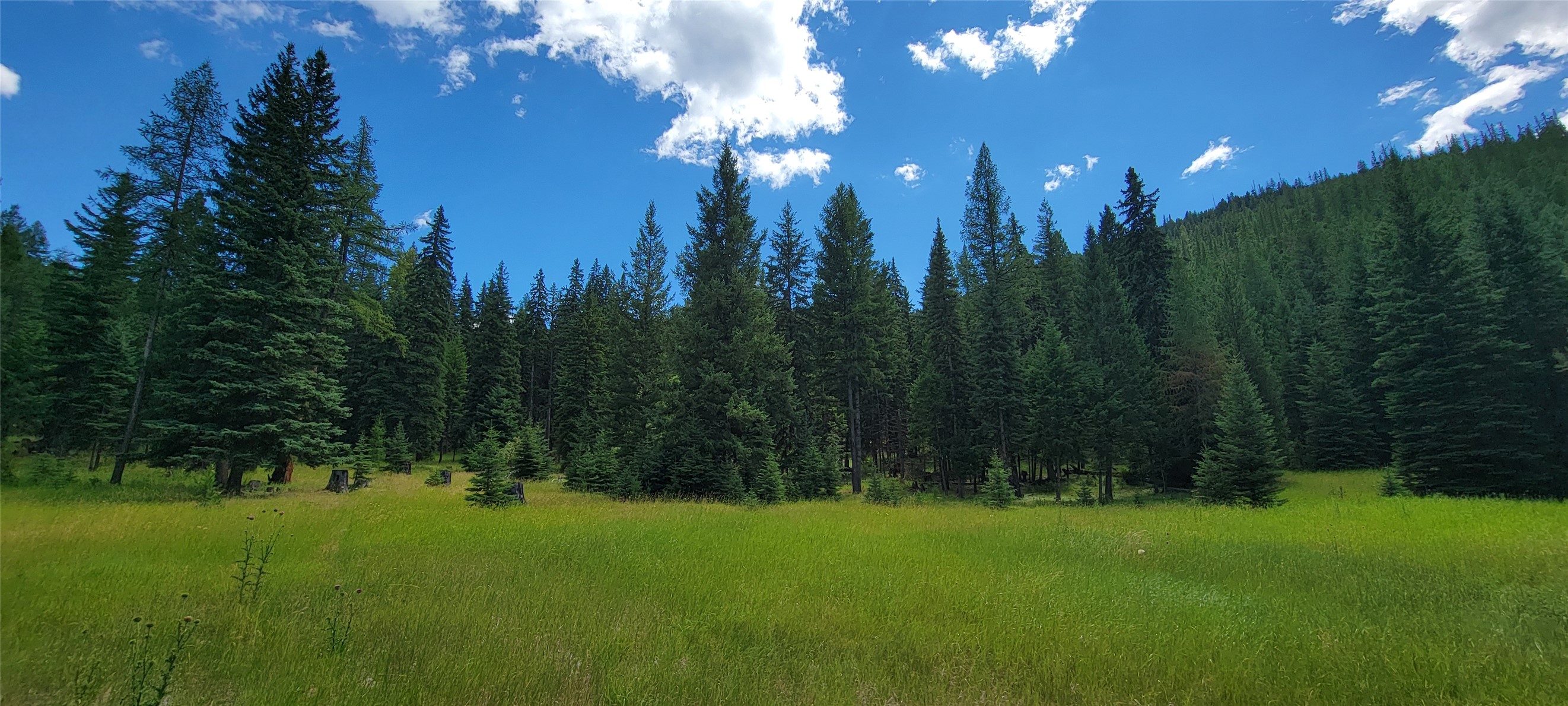 1720 Coon Hollow Road