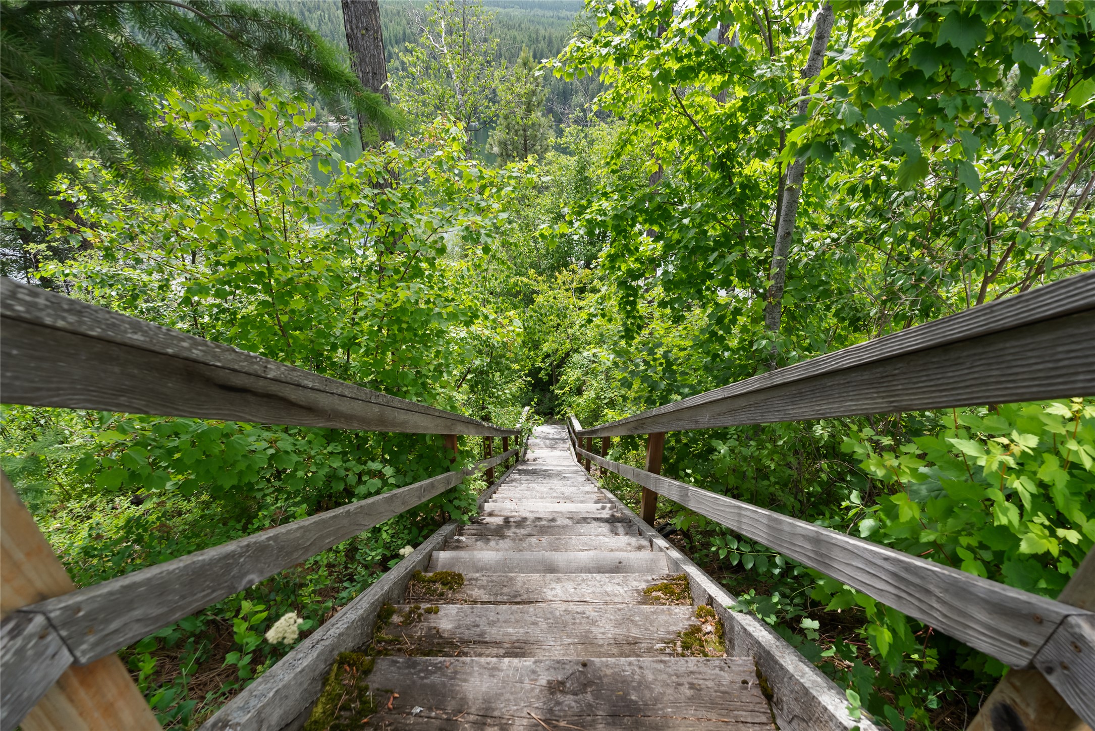 Bigfork, Montana 59911, United States, 10 Bedrooms Bedrooms, ,8 BathroomsBathrooms,Residential,Active,161278