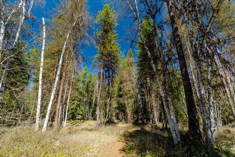 Tiny photo for 675 Beaver Lake Road, Whitefish, MT 59937 (MLS # 30069703)