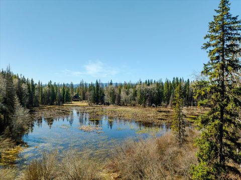 Tiny photo for 675 Beaver Lake Road, Whitefish, MT 59937 (MLS # 30069703)
