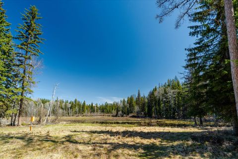 Tiny photo for 675 Beaver Lake Road, Whitefish, MT 59937 (MLS # 30069703)