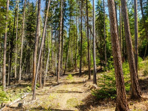 Tiny photo for 675 Beaver Lake Road, Whitefish, MT 59937 (MLS # 30069703)