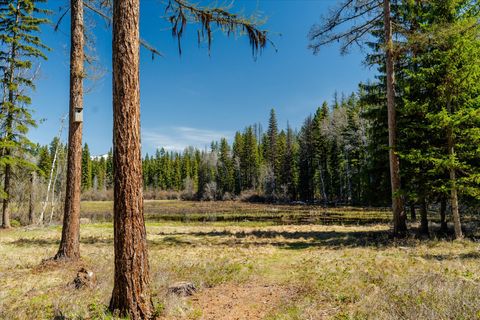 Tiny photo for 675 Beaver Lake Road, Whitefish, MT 59937 (MLS # 30069703)