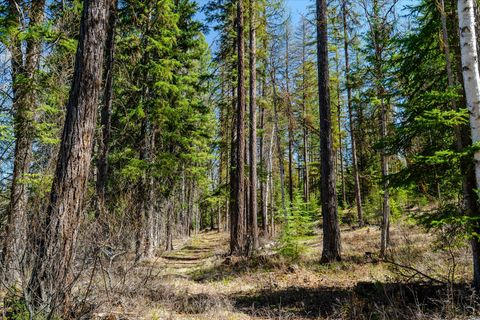 Tiny photo for 675 Beaver Lake Road, Whitefish, MT 59937 (MLS # 30069703)