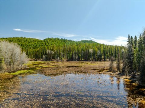 Tiny photo for 675 Beaver Lake Road, Whitefish, MT 59937 (MLS # 30069703)