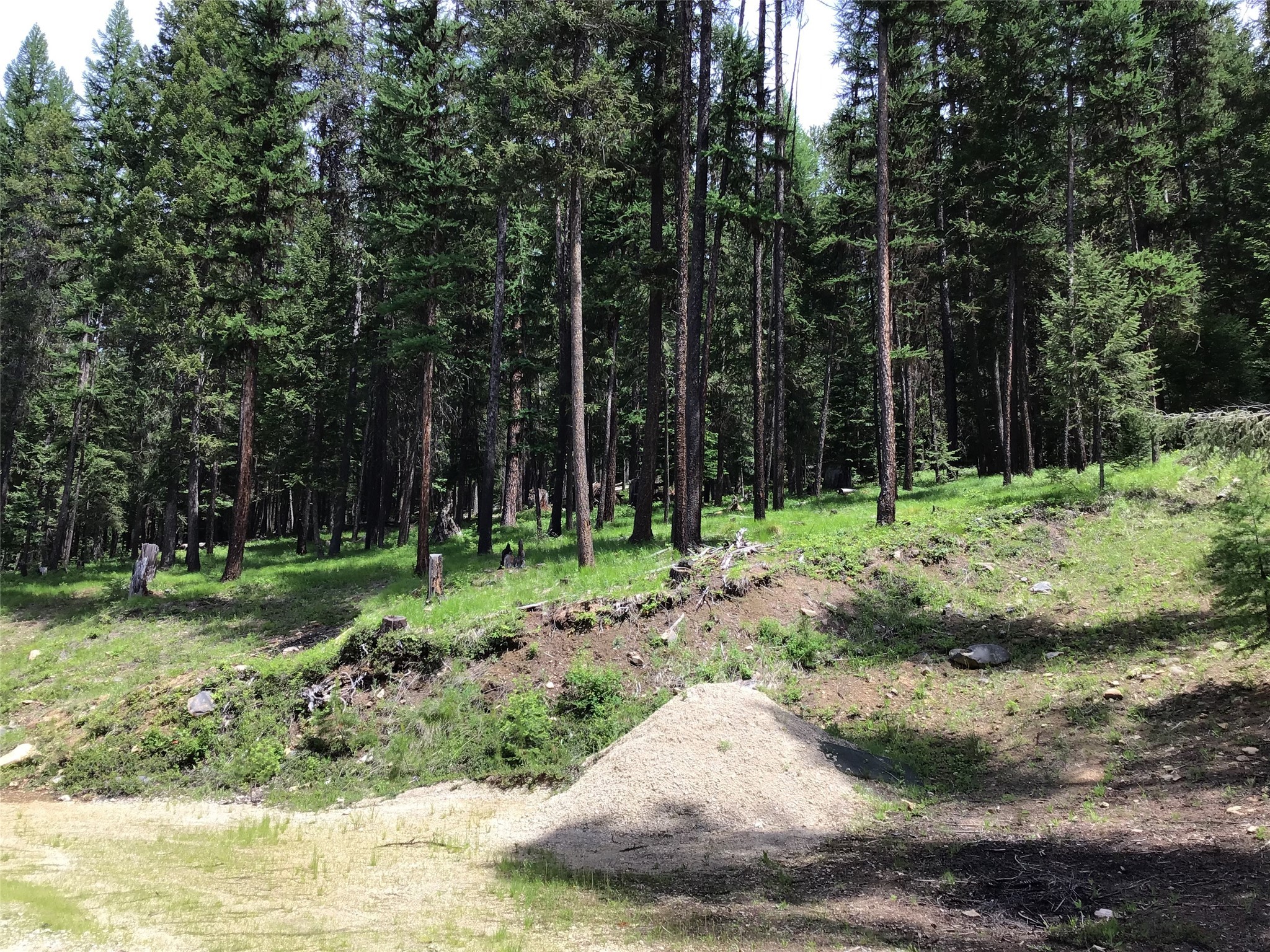 180 Rimfire Lane