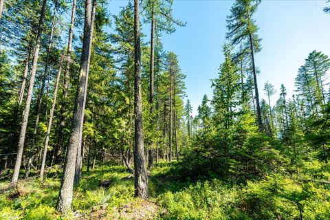 Tiny photo for Nhn Big Mountain Road, Whitefish, MT 59937 (MLS # 30054737)