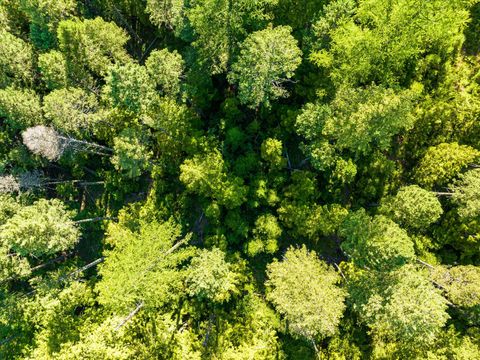 Tiny photo for Nhn Big Mountain Road, Whitefish, MT 59937 (MLS # 30054737)