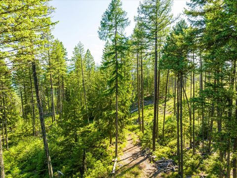 Tiny photo for Nhn Big Mountain Road, Whitefish, MT 59937 (MLS # 30054737)